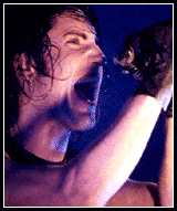 Nine Inch Nail - Trent Reznor