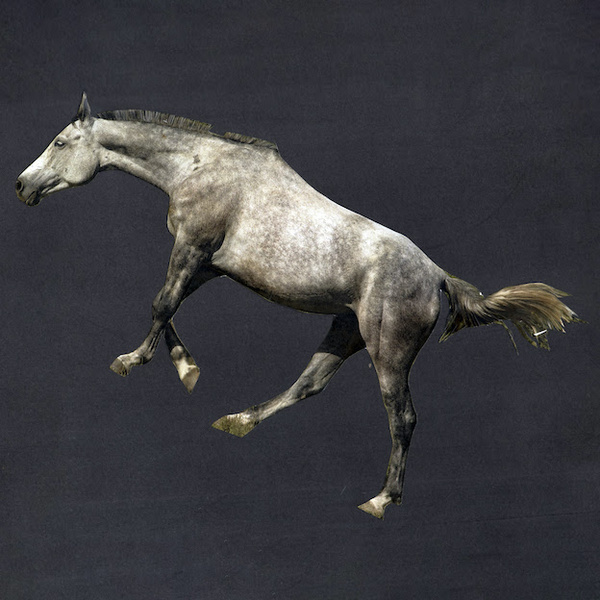 07_caro_600