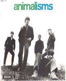 animals_animalism_ondarock_nunziata