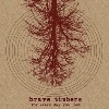 brave_timbers_for_every_day
