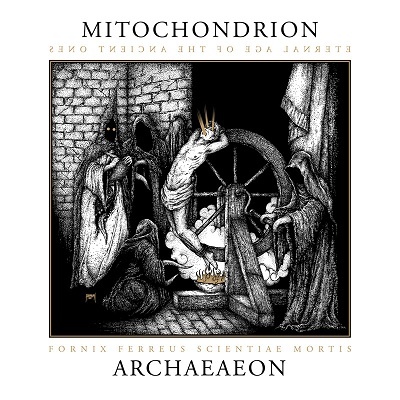 Mitochondrion