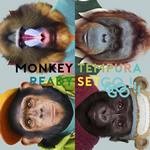 monkeytempura