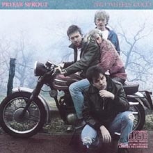 Prefab Sprout - Steve McQueen