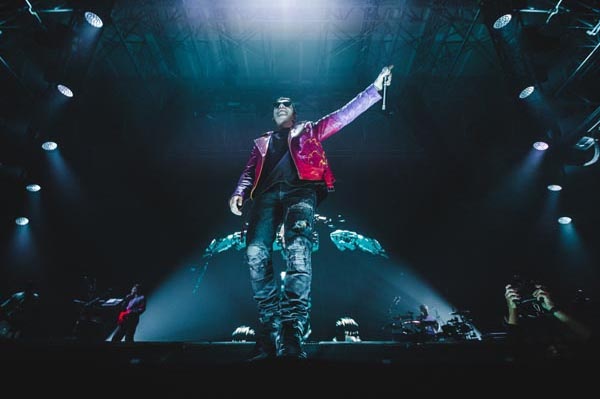 Salmo live