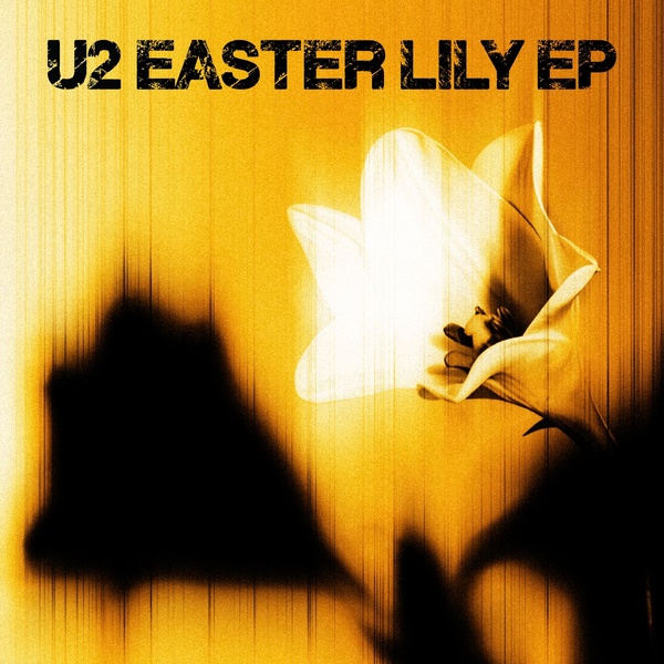 u2easterlily_600.