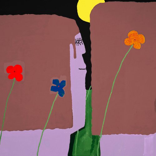 Slow Pulp - Yard :: Le Recensioni di OndaRock