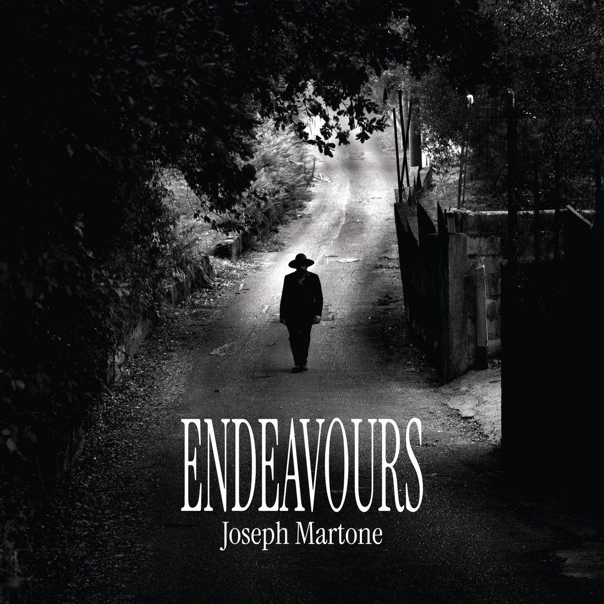 Endeavours